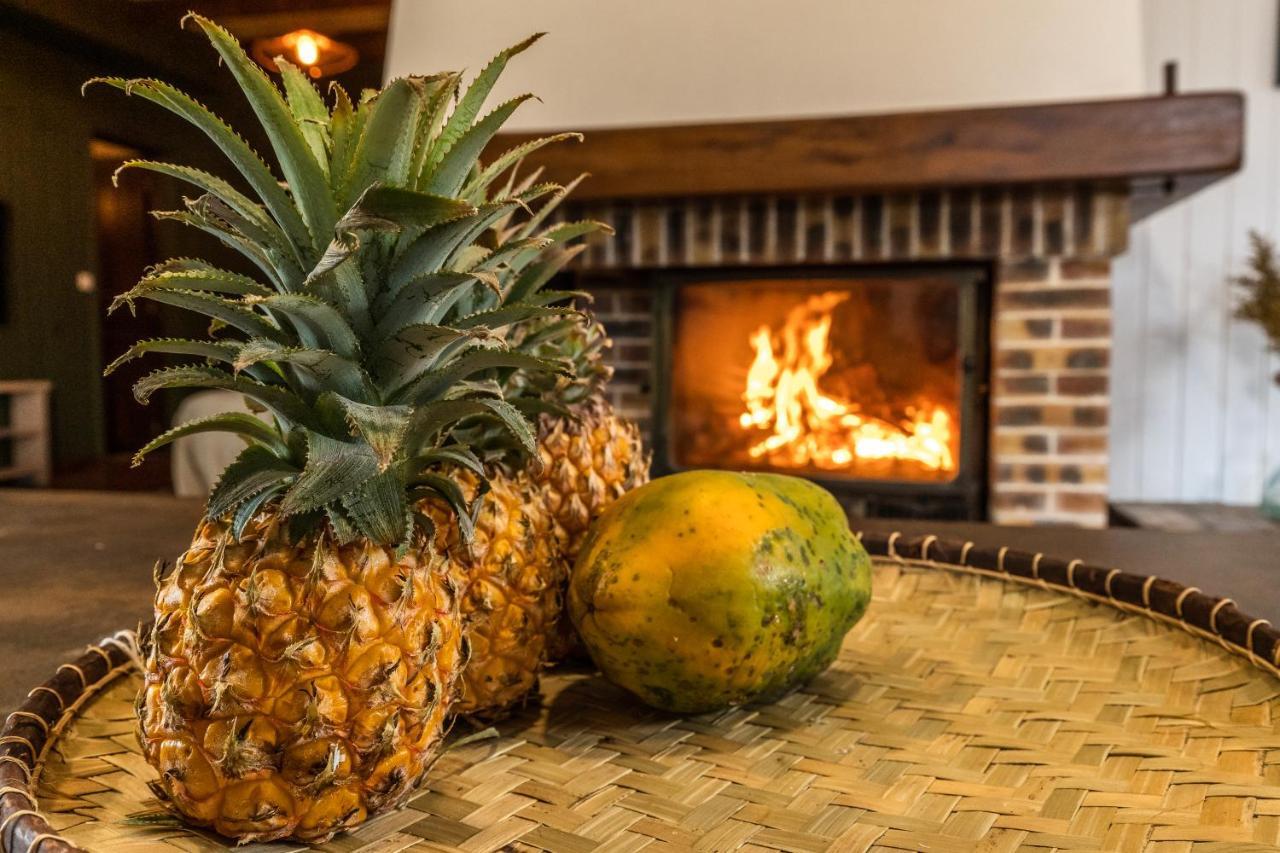 Magnifique Villa Creole Villa Ti Bout Bois Avec Cheminee Au Tevelave Les Avirons エクステリア 写真